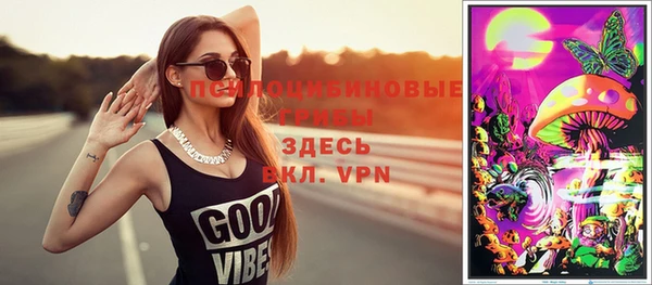 ALPHA-PVP Алексеевка